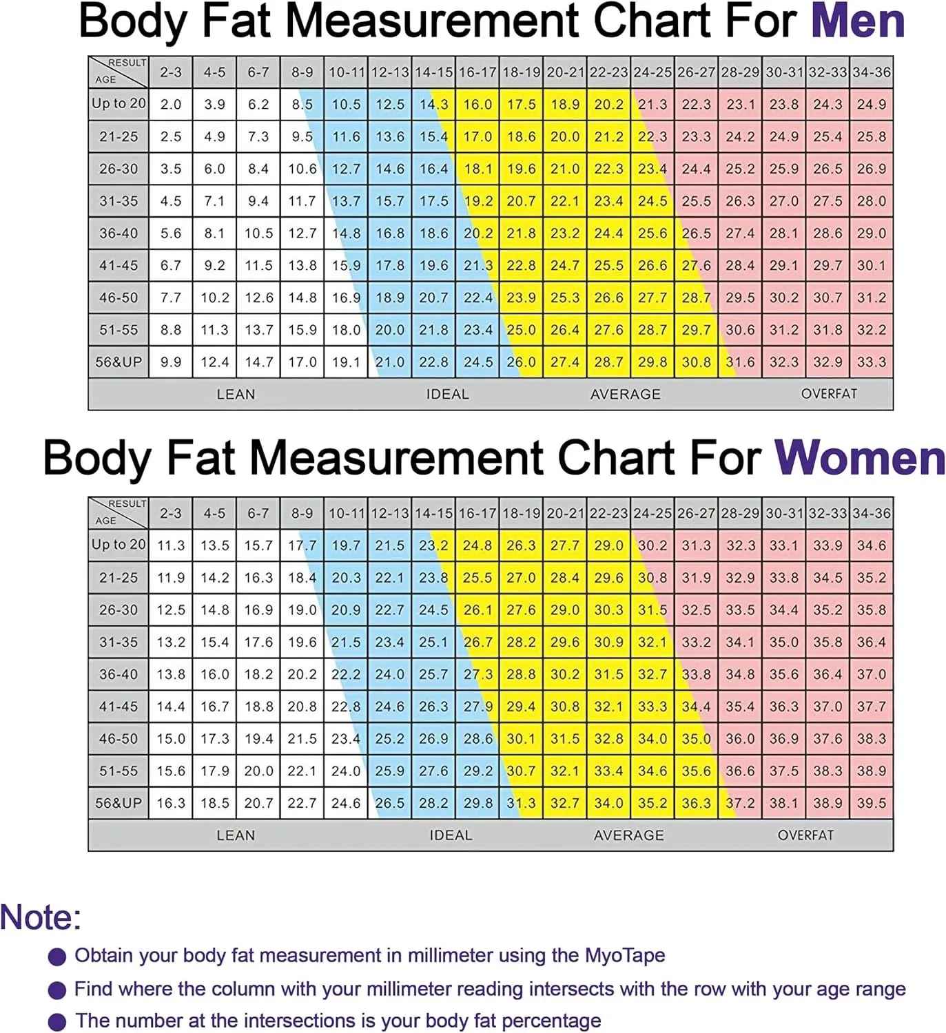 Body Tape Measure
